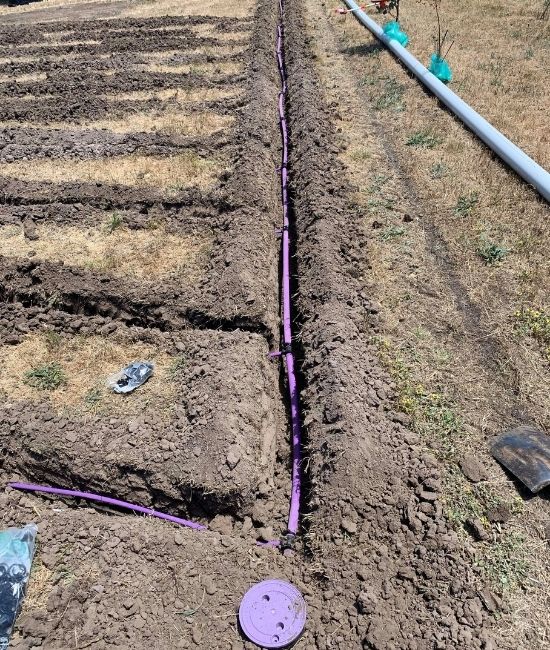 subsurface irrigation septic installation